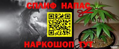 тгк Жуковский