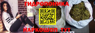 амф Заволжье