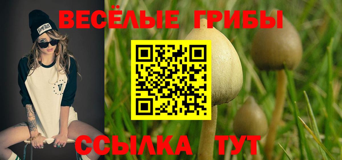 Галлюциногенные грибы прущие грибы Лысьва